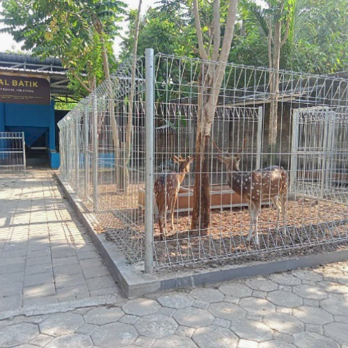 Galeri 2